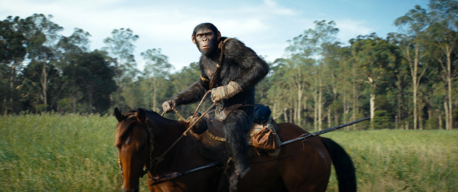 Kingdom of the Planet of the Apes