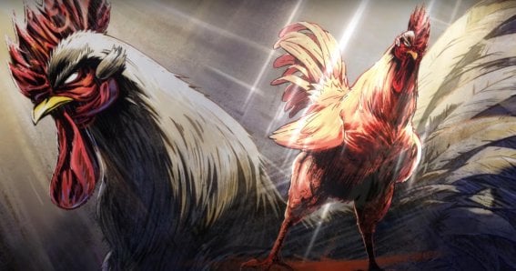 Rooster Fighter Anime