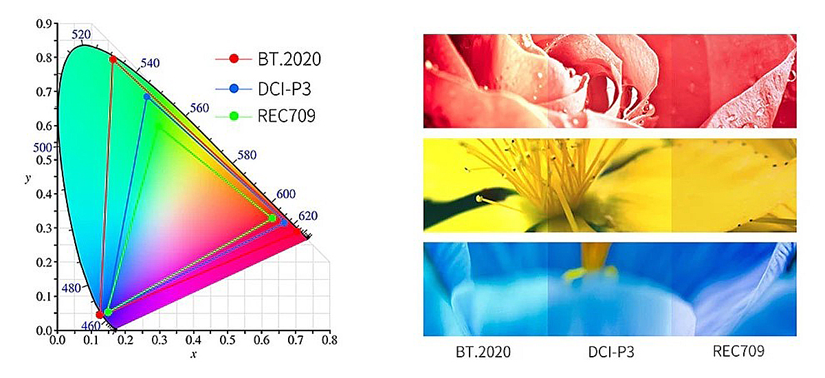 BT.2020 vs DCI-P3