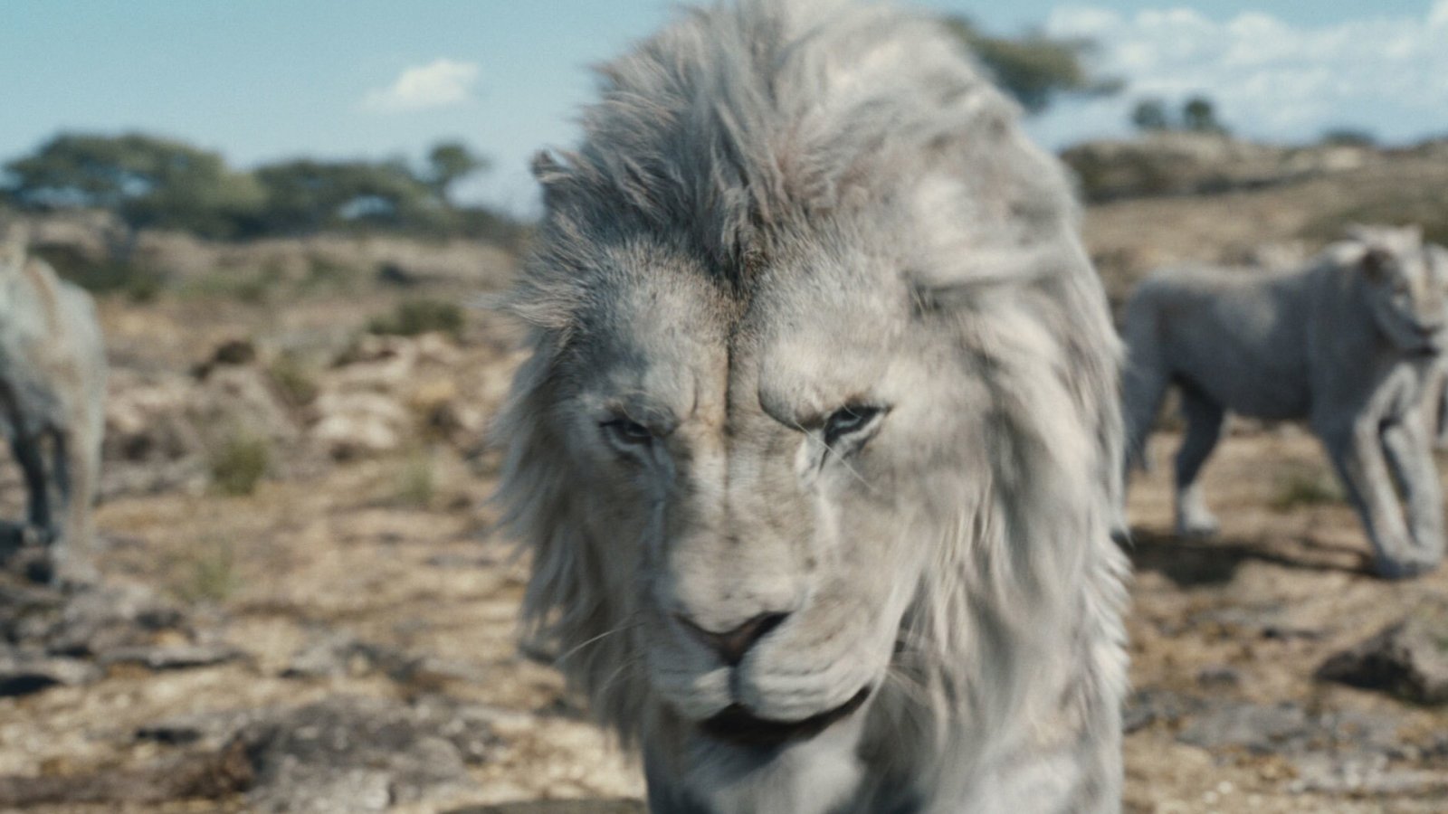 MUFASA THE LION KING Photo courtesy of Disney 2024 Disney Enterprises Inc.