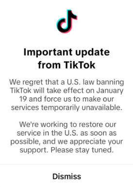 TikTok Ban