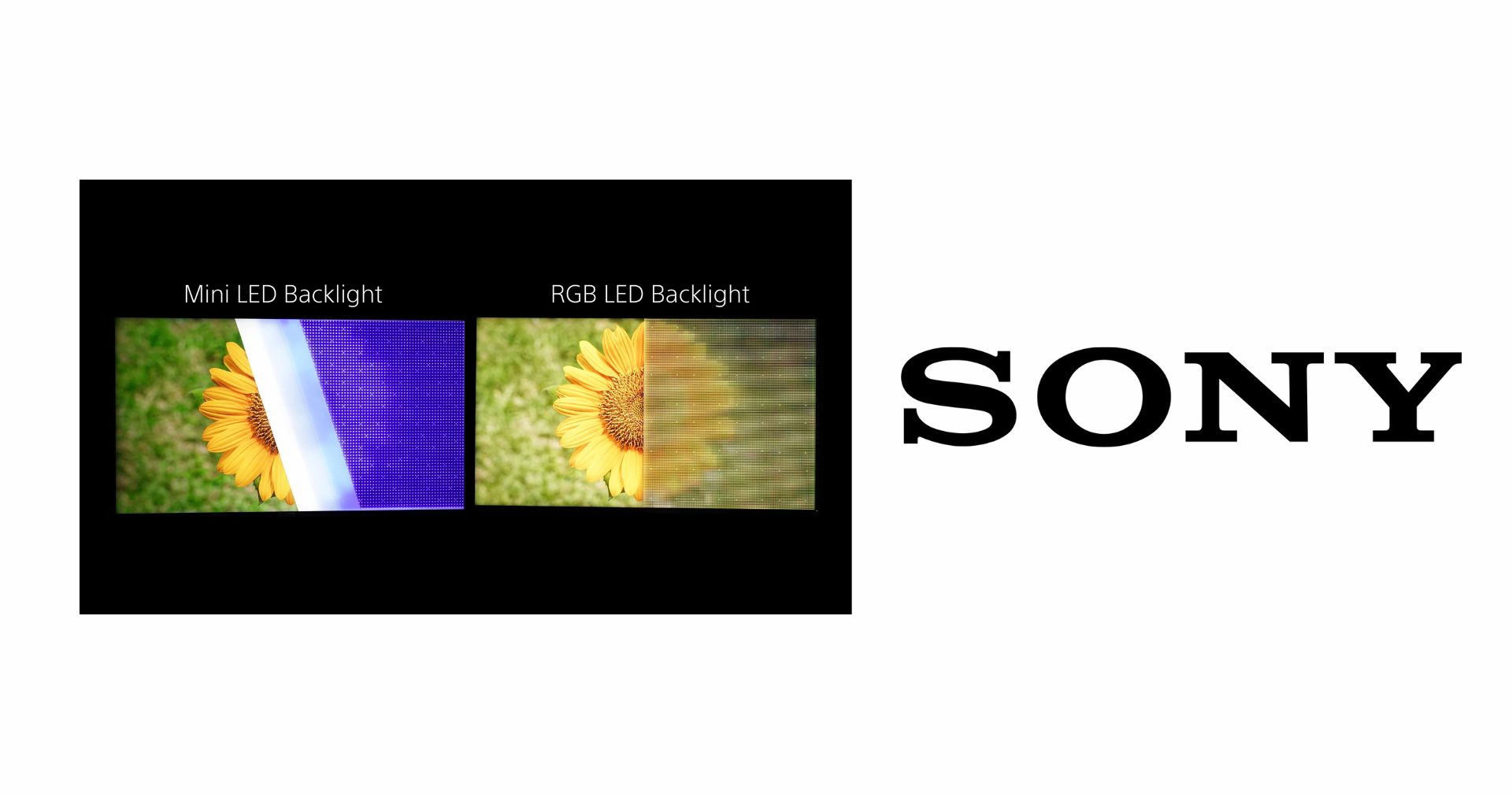 Sony สู้ศึกทีวี ! ส่งเทคโนโลยีแผงหน้าจอใหม่ RGB LED Backlight ที่สีสันจอดีกว่าเดิม