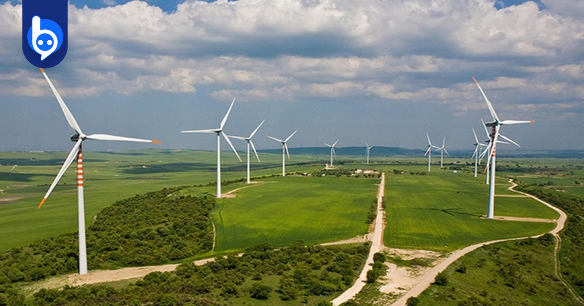 Lead wind. Sale of Wind. Wind of France.